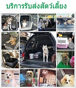 เรียกรถเหมาโทร.0947755985